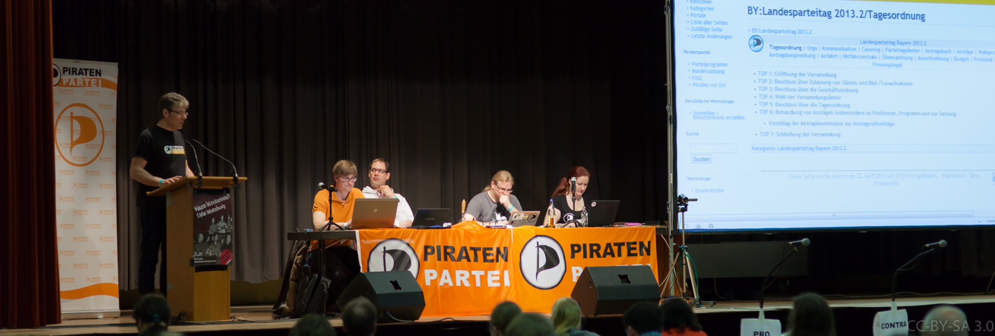 Landesparteitag 2013.2 in Gemünden