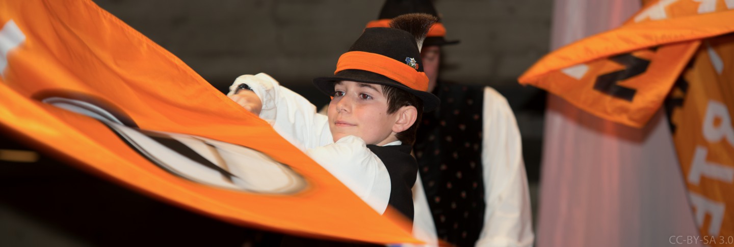 Politischer Aschermittwoch 2013 in Ingolstadt